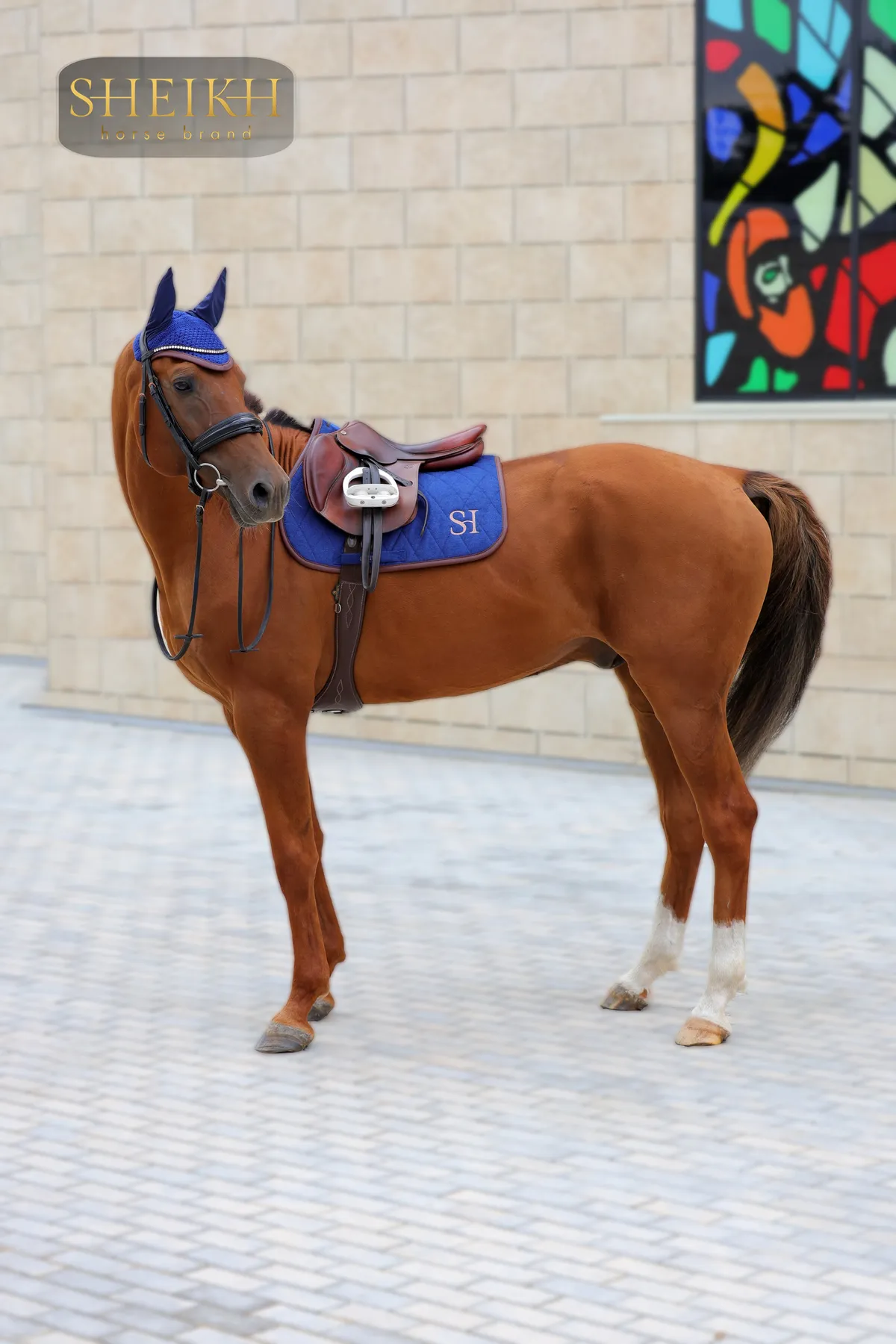 Вальтрап выездковый для верховой езды, конного спорта SHEIKH HORSE BRAND, коллекция FOREST, синий