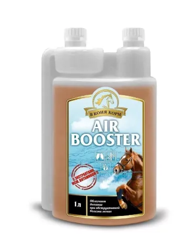 Air Booster сироп, 1 л.