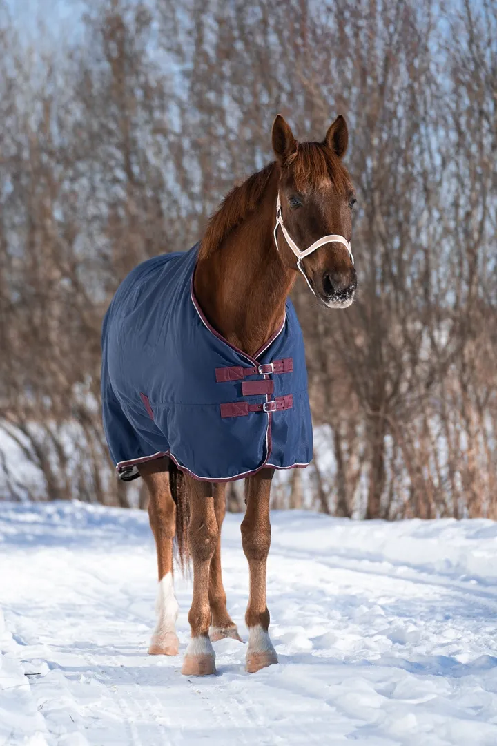 Попона денниковая FLEECE-LINED на флисе