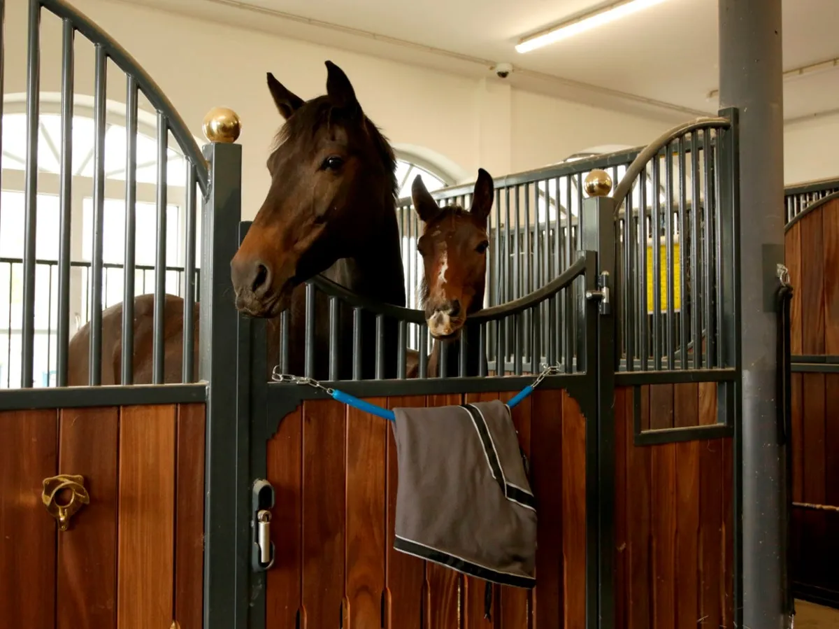 Попонодержатель