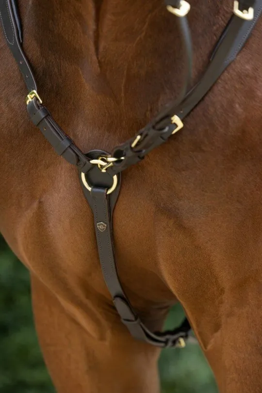 Подперсье с мартингалом Covalliero Breastplate COB