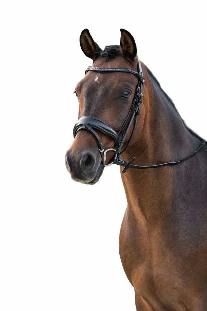 Оголовье IRA