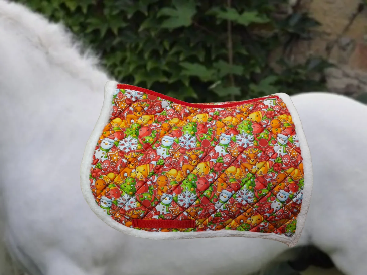 Комплект для пони