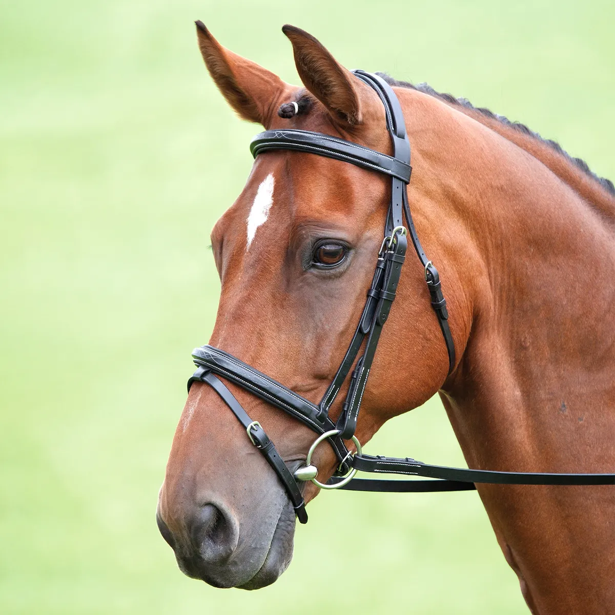 Оголовье Bodenham с мягким Flash капсюлем, COB