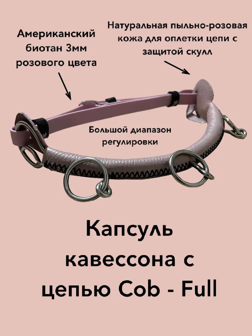 Кавессон с цепью ( капсуль ) Cob - Full