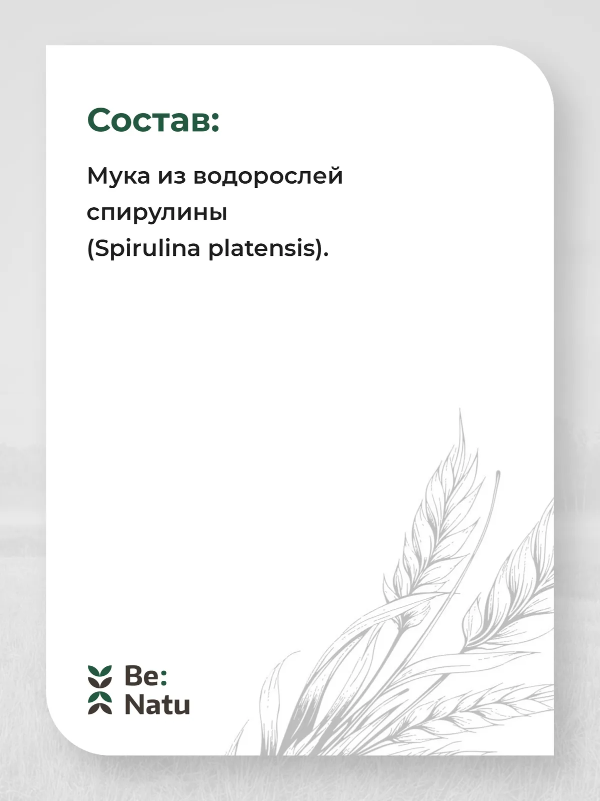 Спирулина Eco 1кг