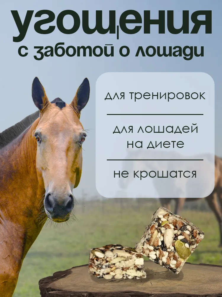 Козинаки зерновые 1,2кг без сахара PferdEssen