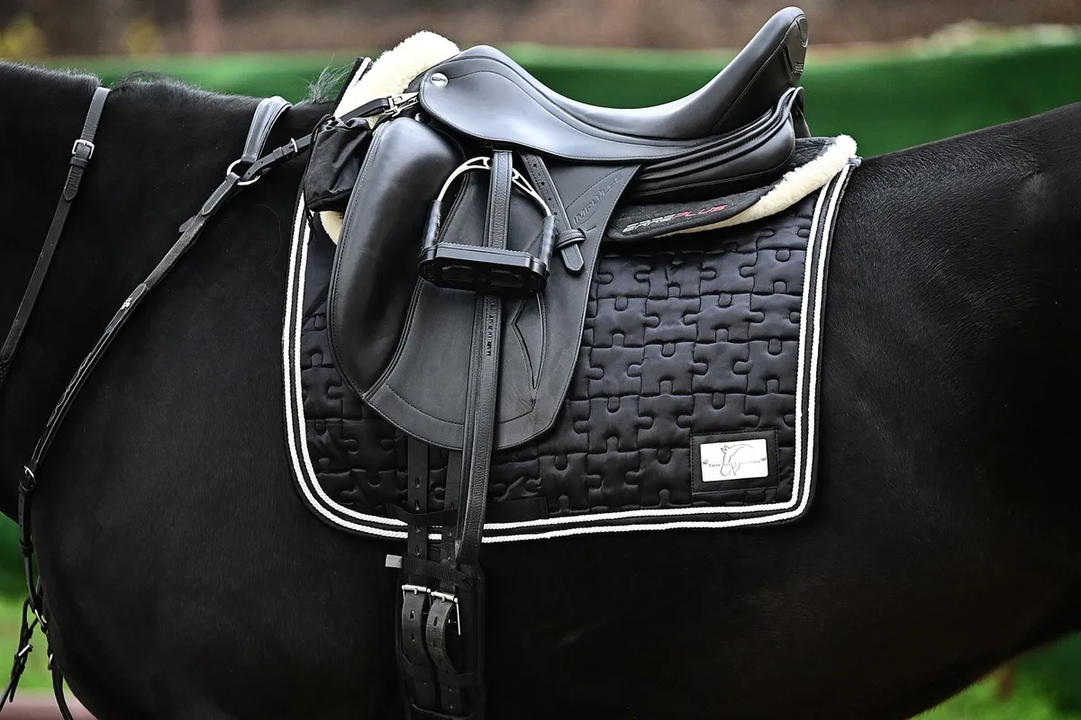 Вальтрап атласный выездковый TwinSoul Full