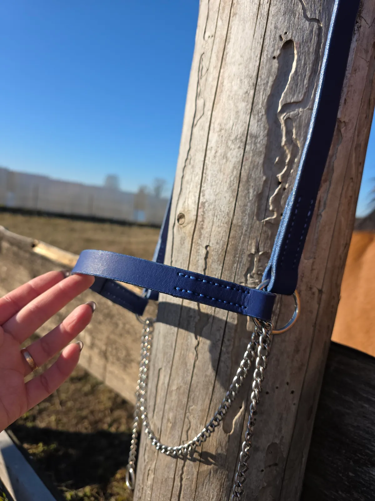 Выводной недоуздок COB