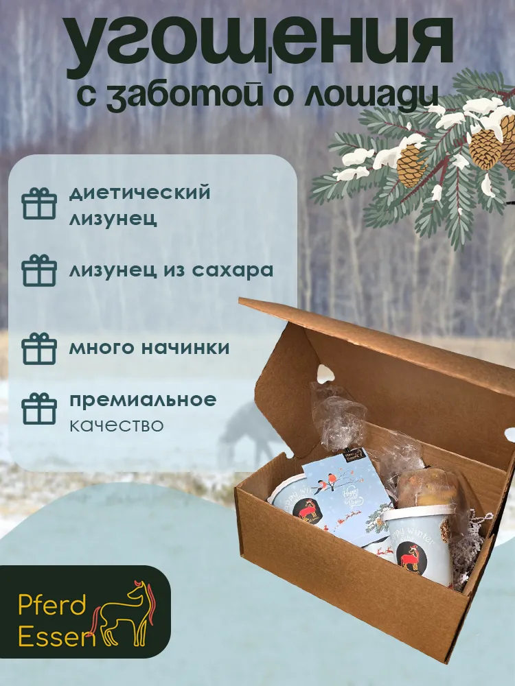 Новогодний подарочный бокс угощений для лошадей PferdEssen (ликиты, козинаки, печенье)