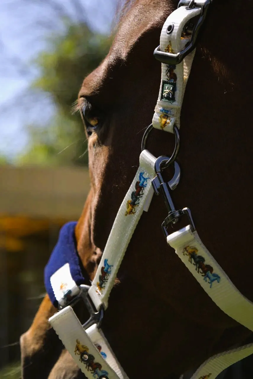 Недоуздок Мелоди HorsePlanet (Pony, Лошадки)