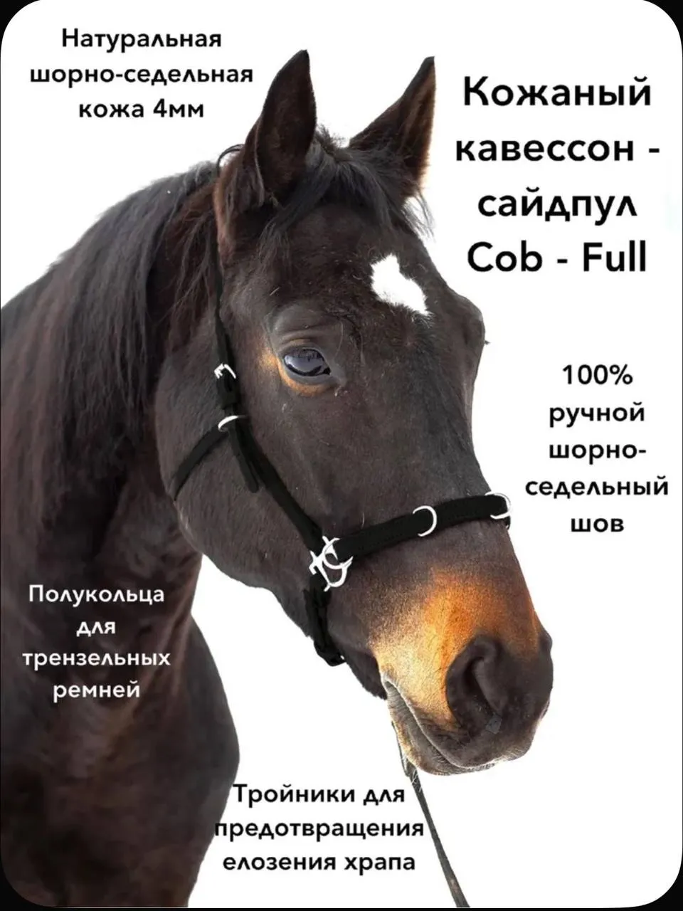 Кавессон Cob - Full