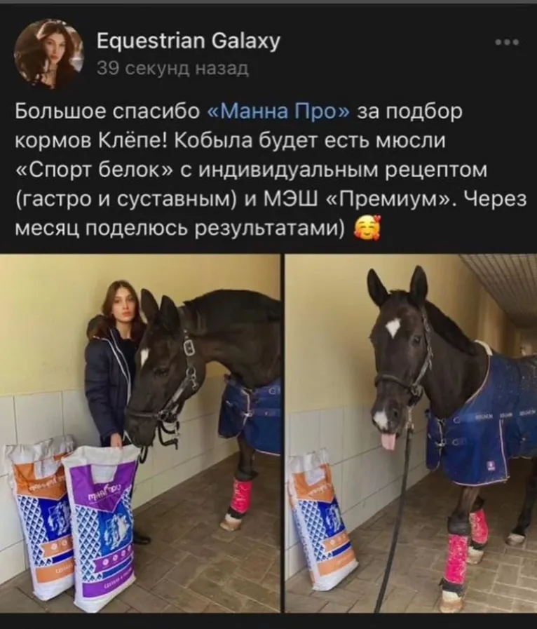 Манна Про Лайт с цукатами
