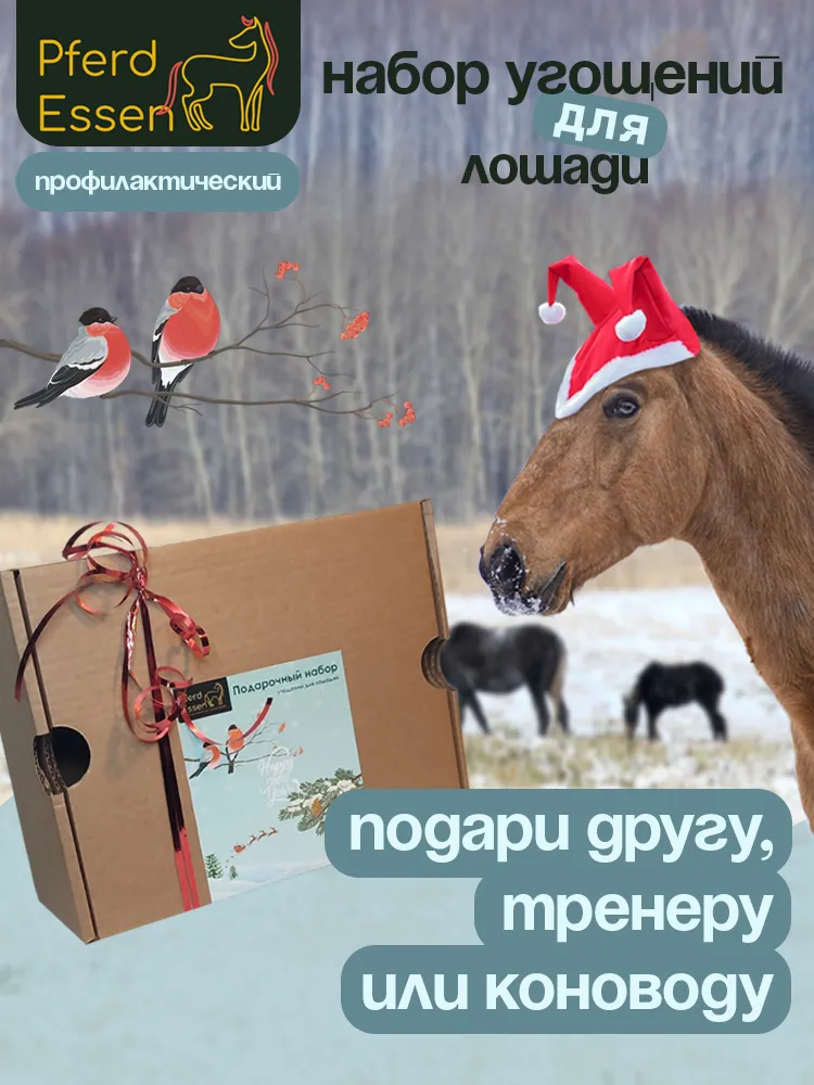 Новогодний полезный бокс угощений для лошадей PferdEssen (ликиты, козинаки, печенье)