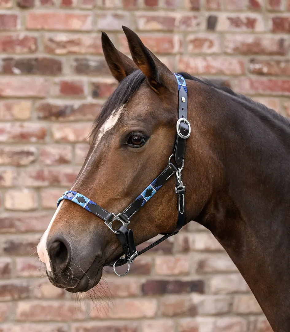 Неудоздок кожаный X-Line Polo