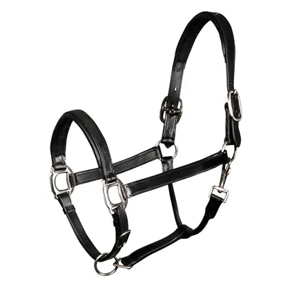Недоуздок кожаный Harry's Horse (COB, Чёрный)