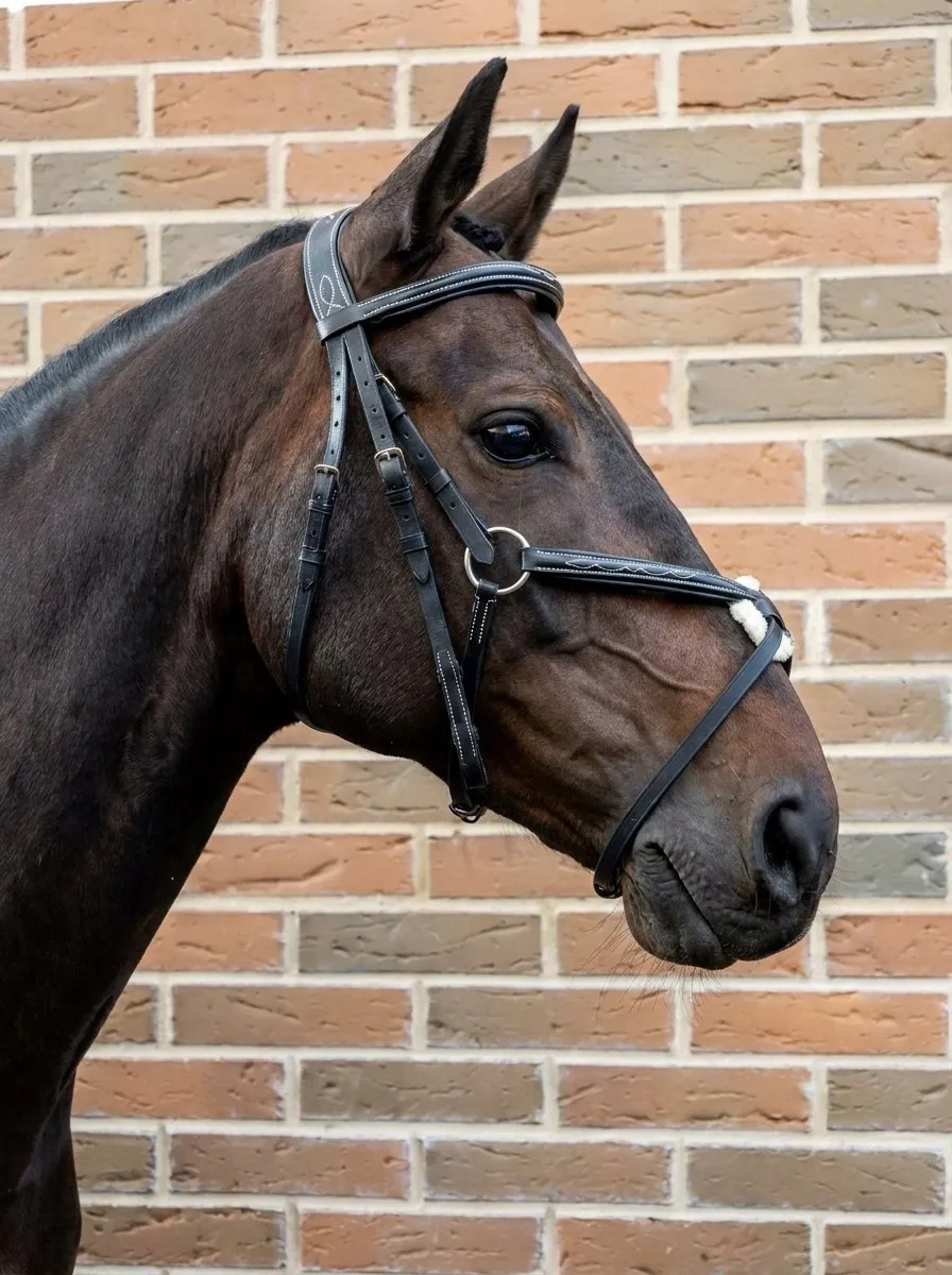 Мексиканская уздечка HorsePlanet (Cob)