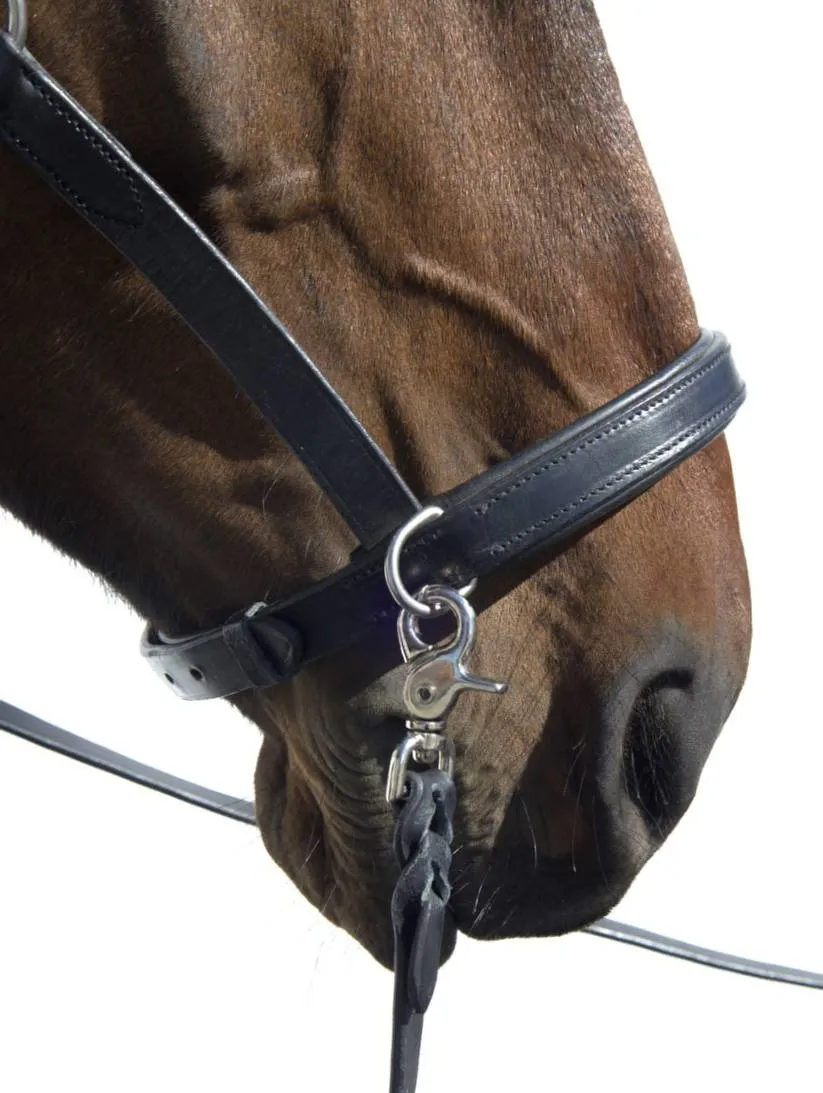 Сайдпул Трофея HorsePlanet (Cob)