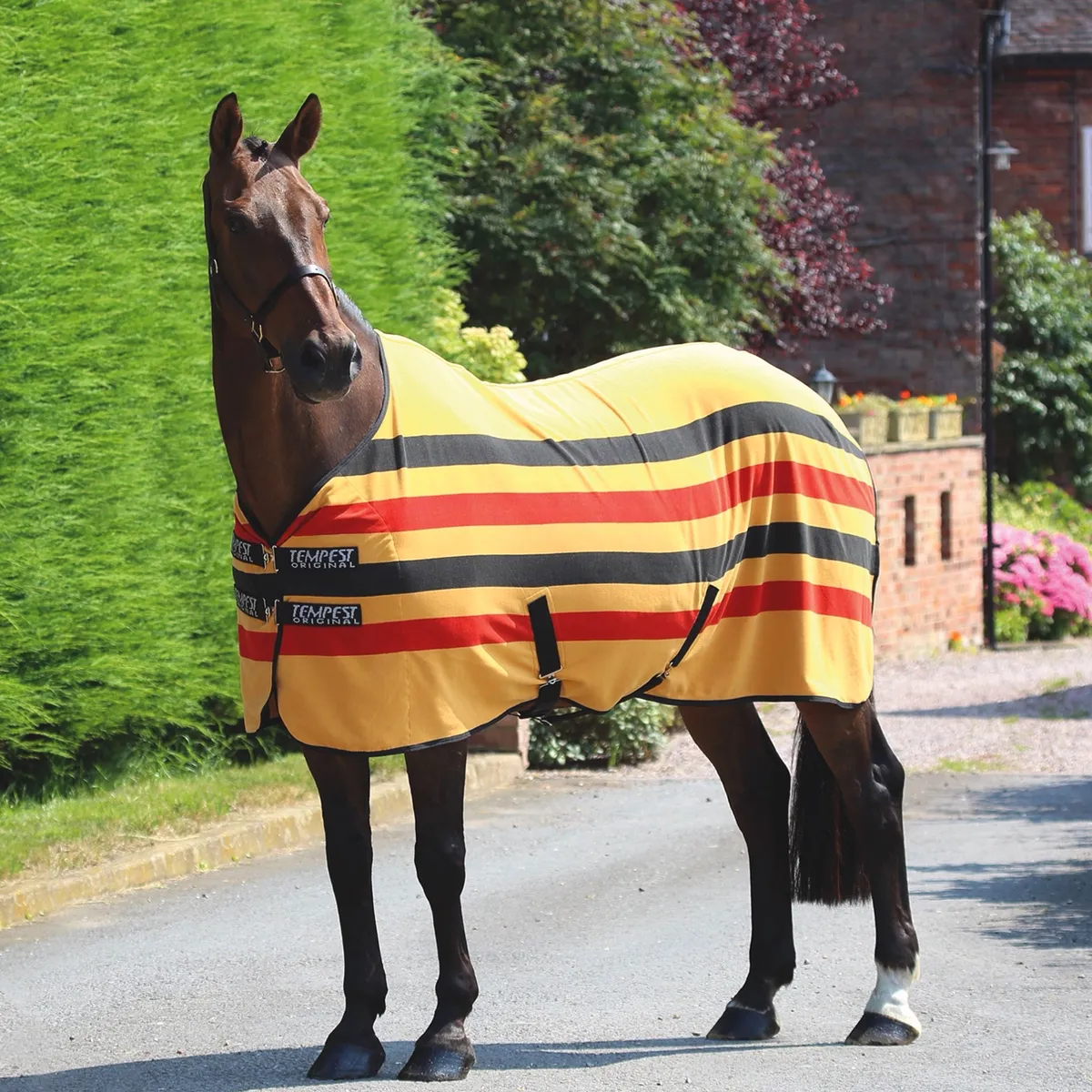 Попона флисовая сушильная для лошади TEMPEST "Original Newmarket", SHIRES (145)