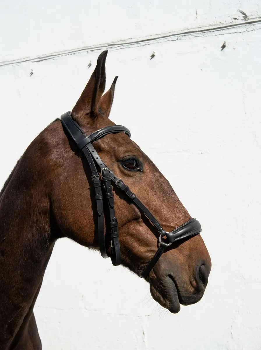 Оголовье с чешским капсулем HorsePlanet (Cob)
