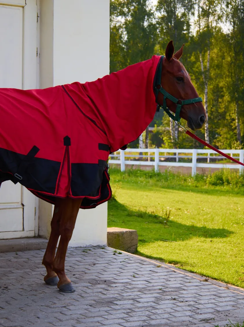 Попона дождевая HorsePlanet (145, Красный)