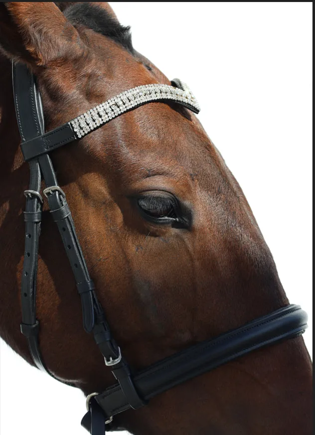 Оголовье безтрензельное HorsePlanet (Cob)