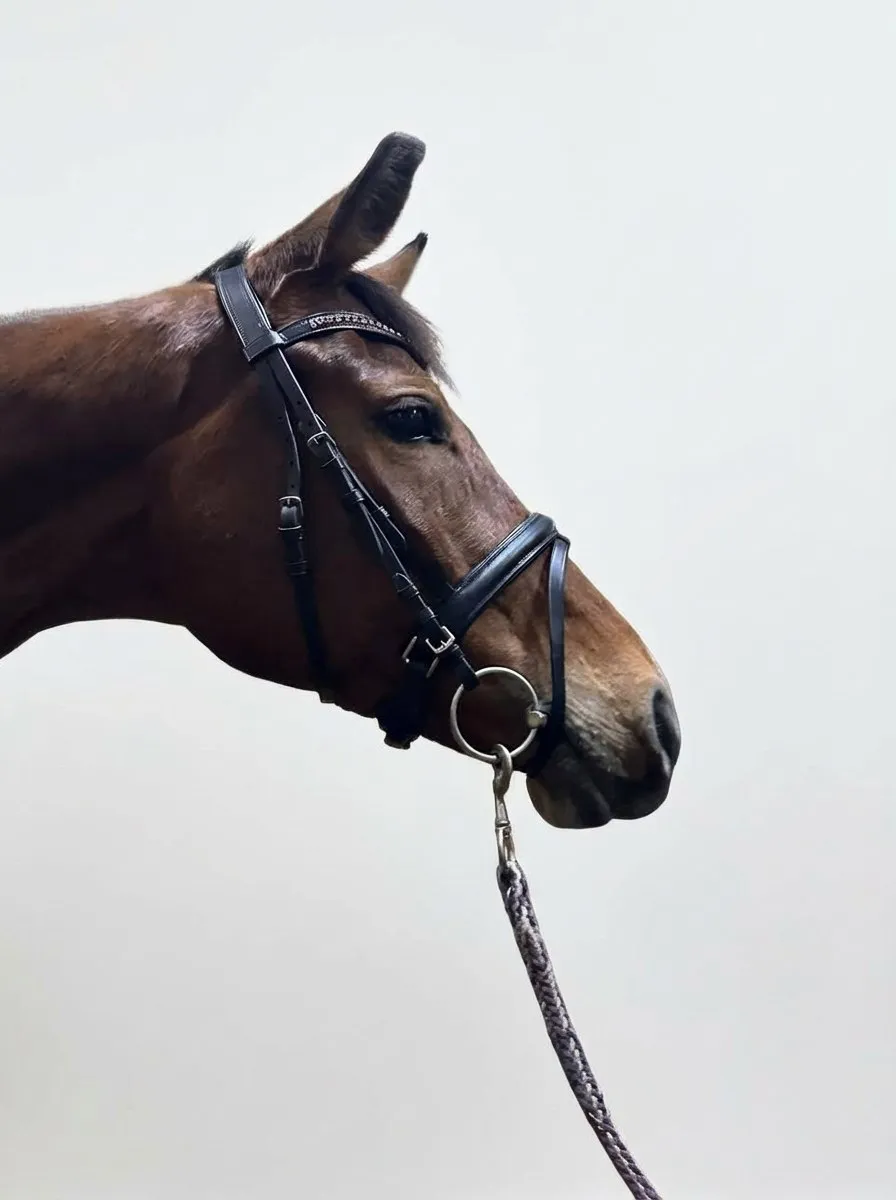 Трензельное оголовье Анжела HorsePlanet (Cob)