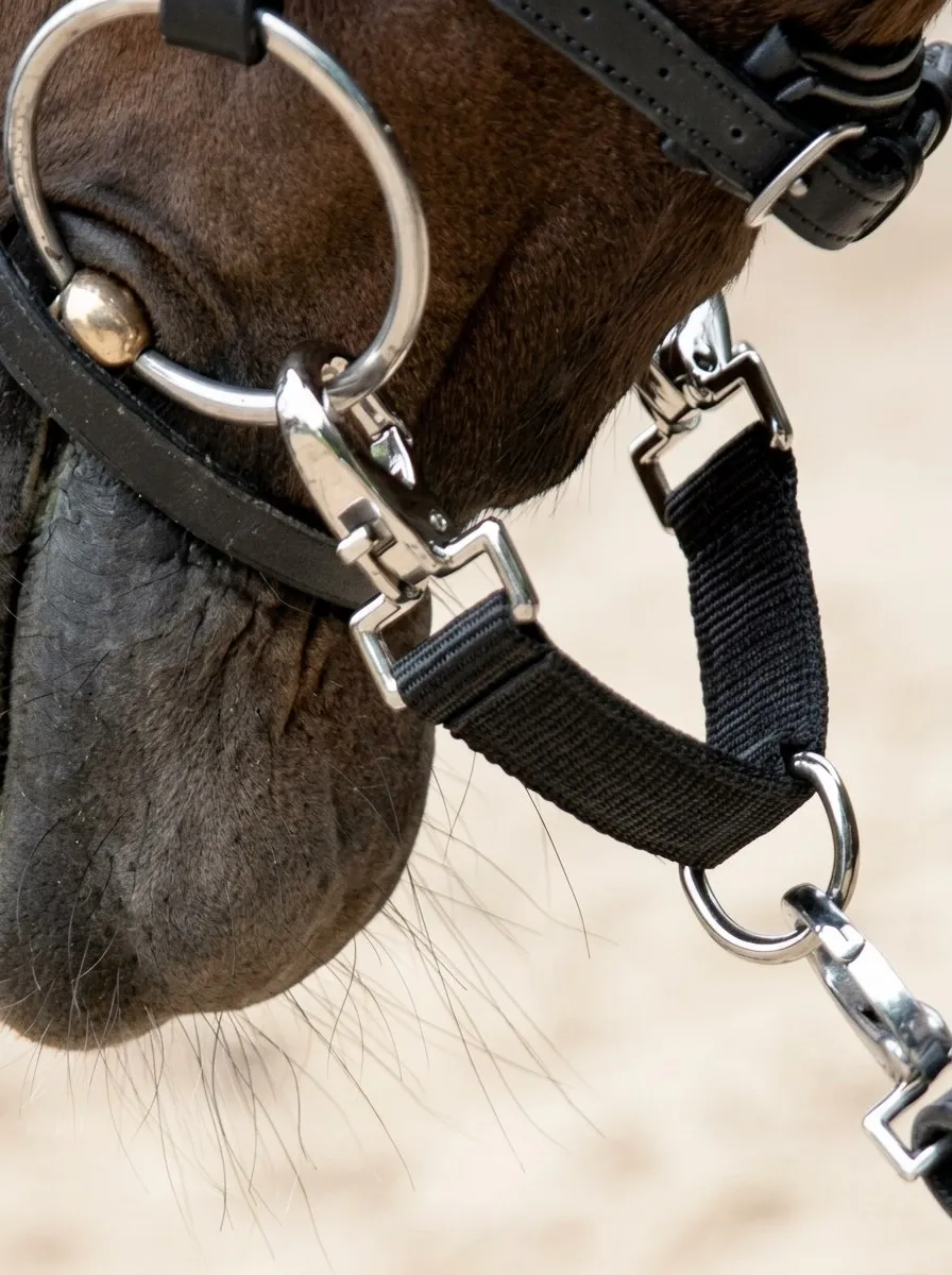 Переходник для корды HorsePlanet