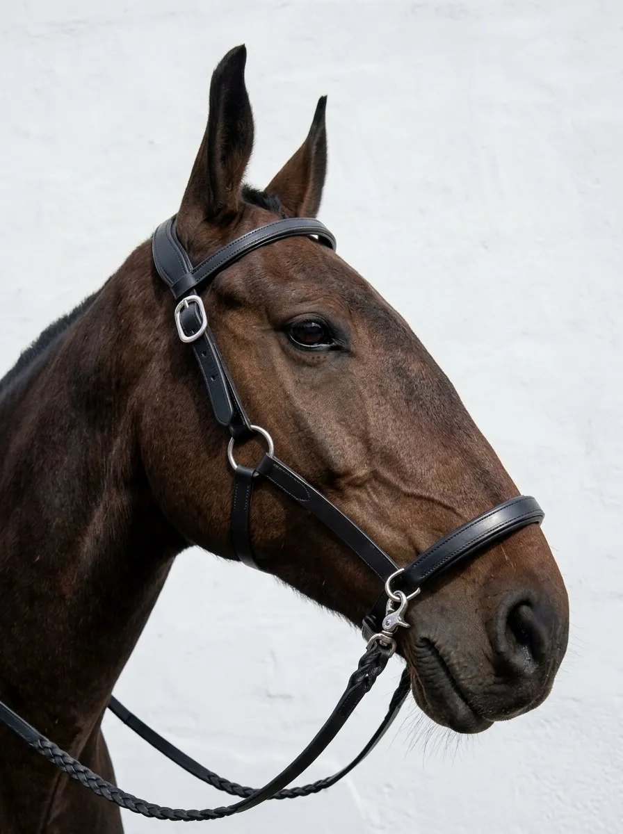Сайдпул Трофея HorsePlanet (Cob)