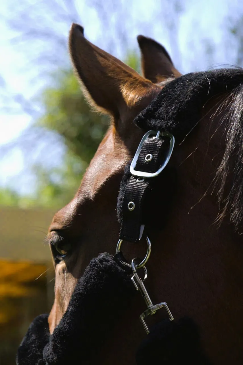 Недоуздок с мехом Камило HorsePlanet (Pony, Черный)