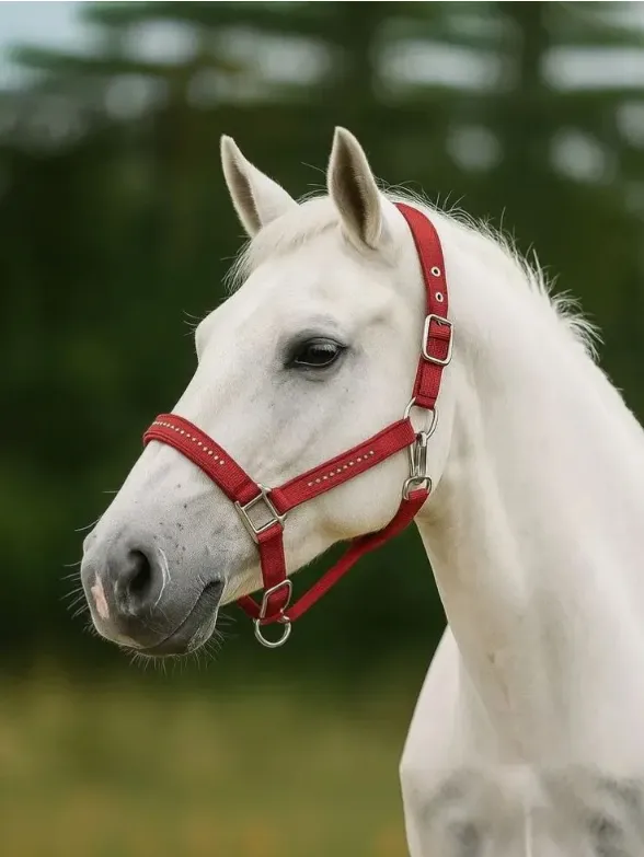 Недоуздок Легнум HorsePlanet (Full, Темно-зеленый)