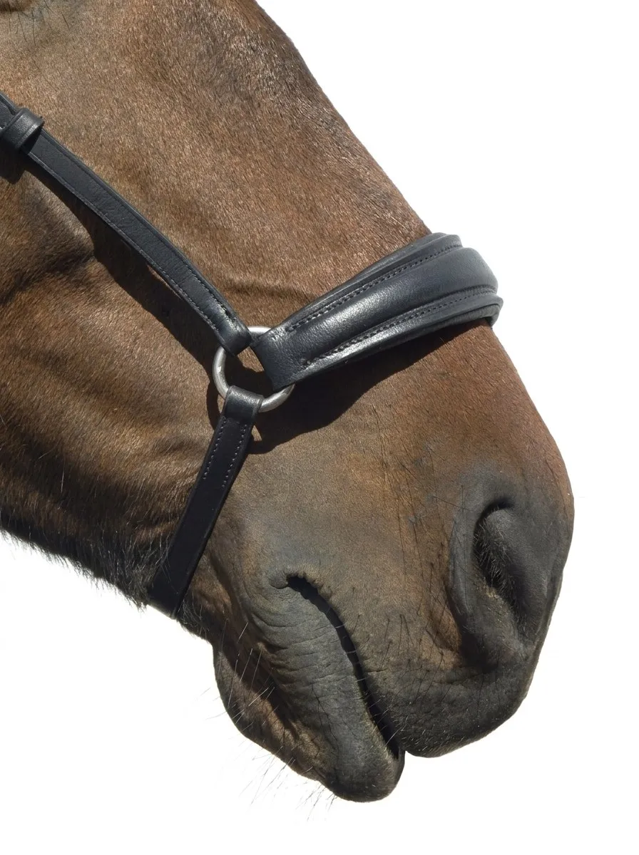 Оголовье с чешским капсулем HorsePlanet (Cob)