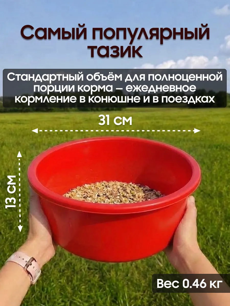 Тазик для мюсли 5 л с крышкой для запаривания корма, пищевой полипропилен, стандартный объём для лошади, Suevia (Германия)