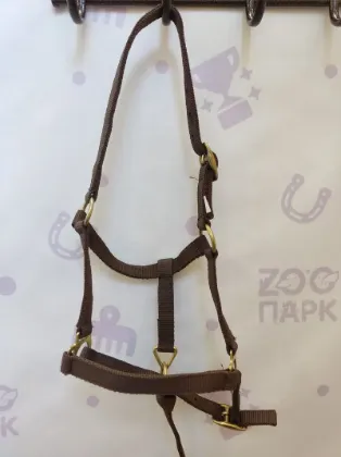 Недоуздок нейлоновый для жеребят (коричневый)