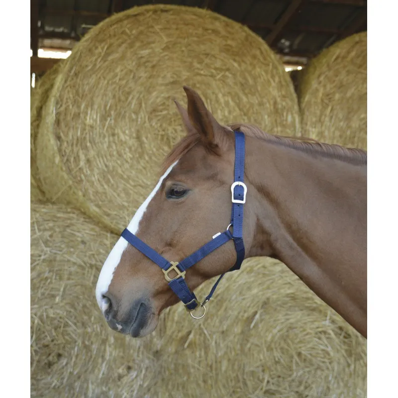 Недоуздок RIDING WORLD (Красный, Cob)