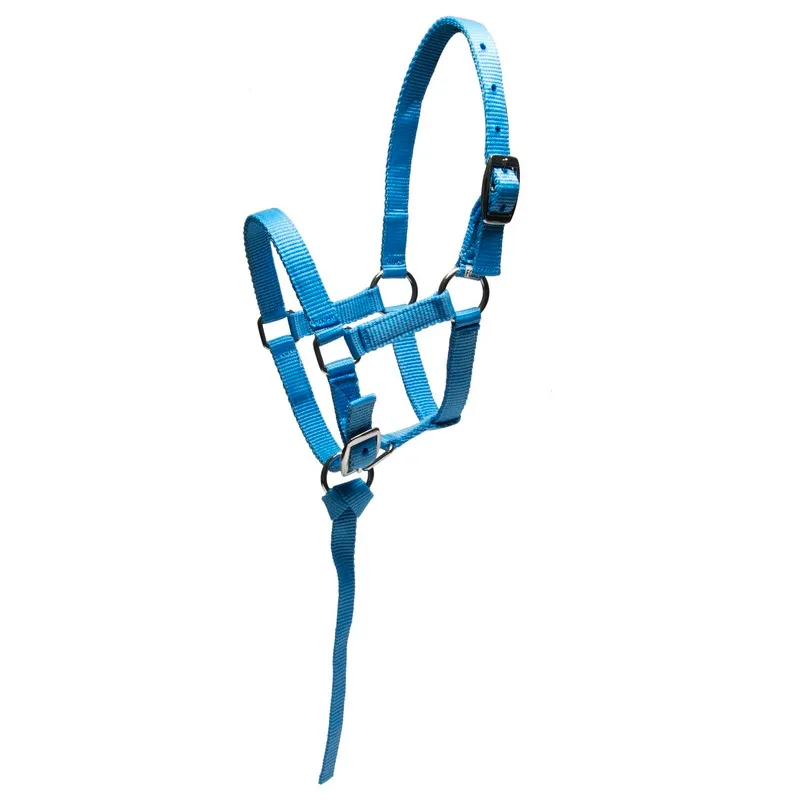 Недоуздок для жеребенка Horse Comfort (голубой)