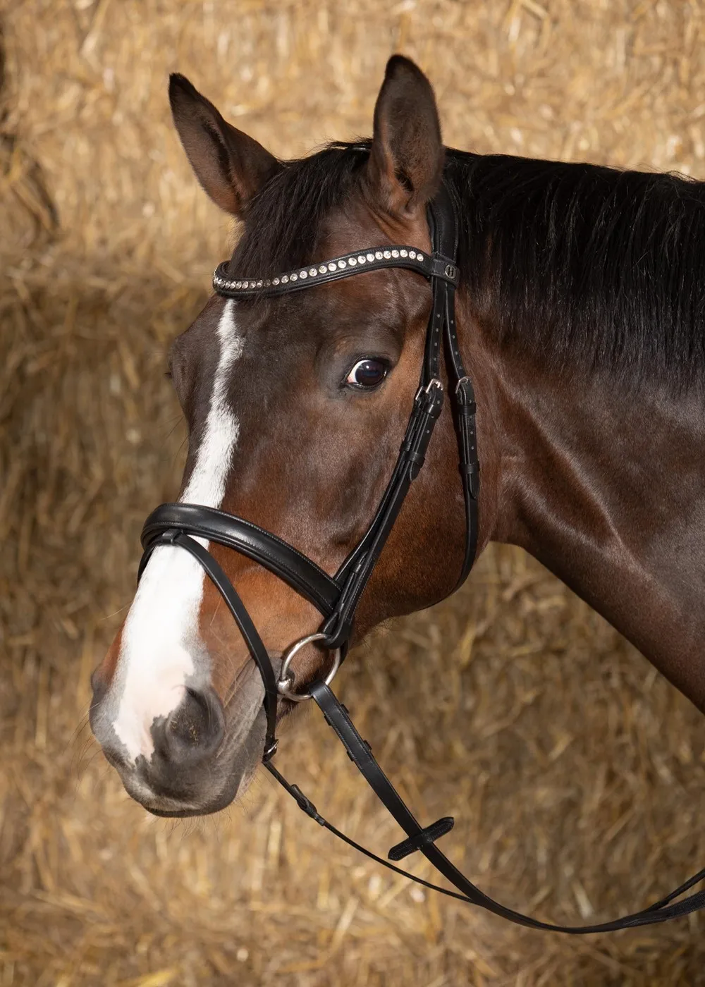 Уздечка для лошади кожаная Nero soft (Harry's Horse Голландия) (белые стразы, cob)