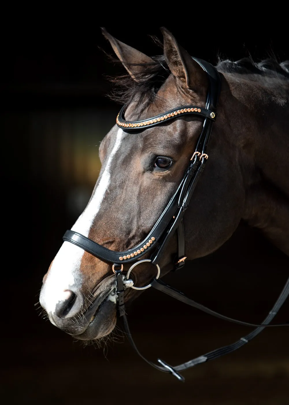 Уздечка для лошади кожаная Anatomic Rosegold (Harry's Horse Голландия) (cob, черный)
