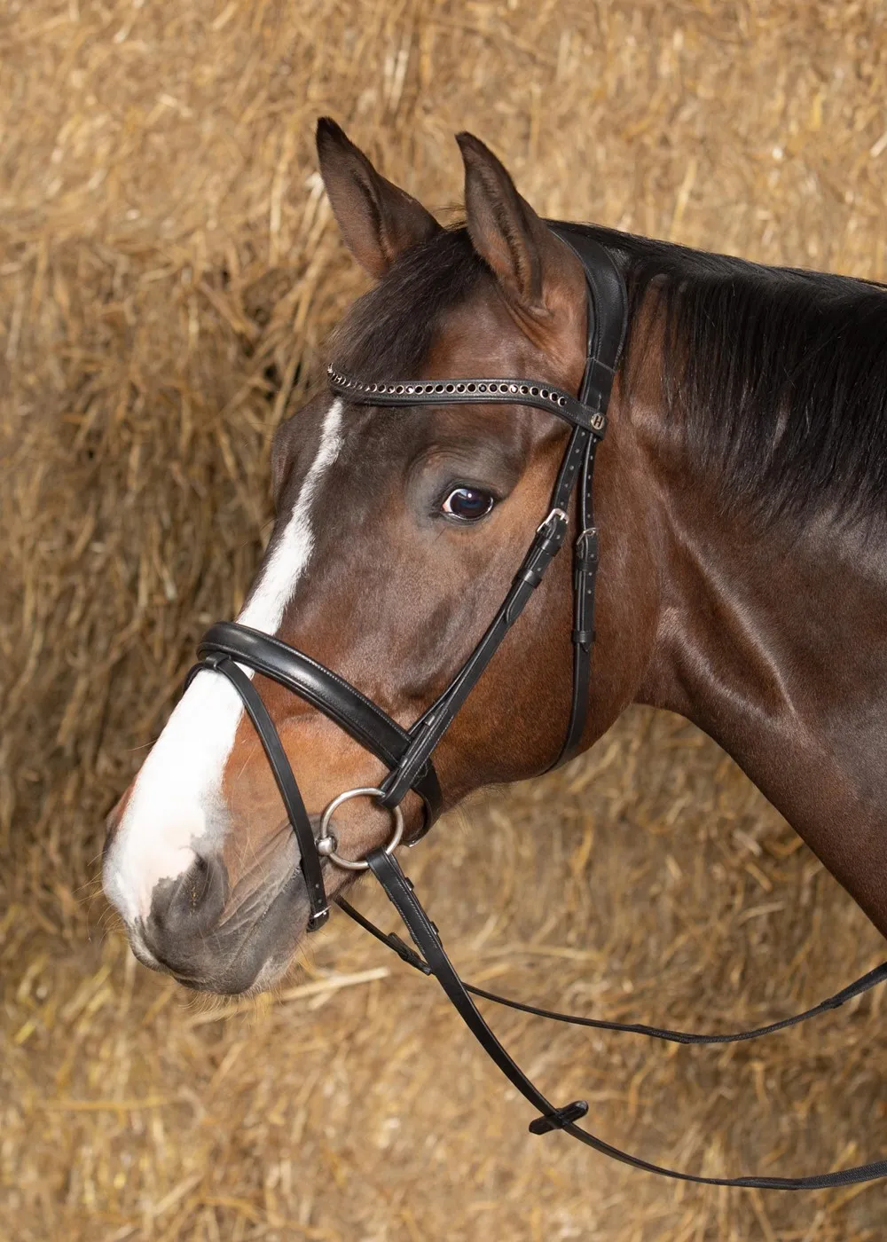 Уздечка для лошади кожаная Nero soft (Harry's Horse Голландия) (черные стразы, cob)