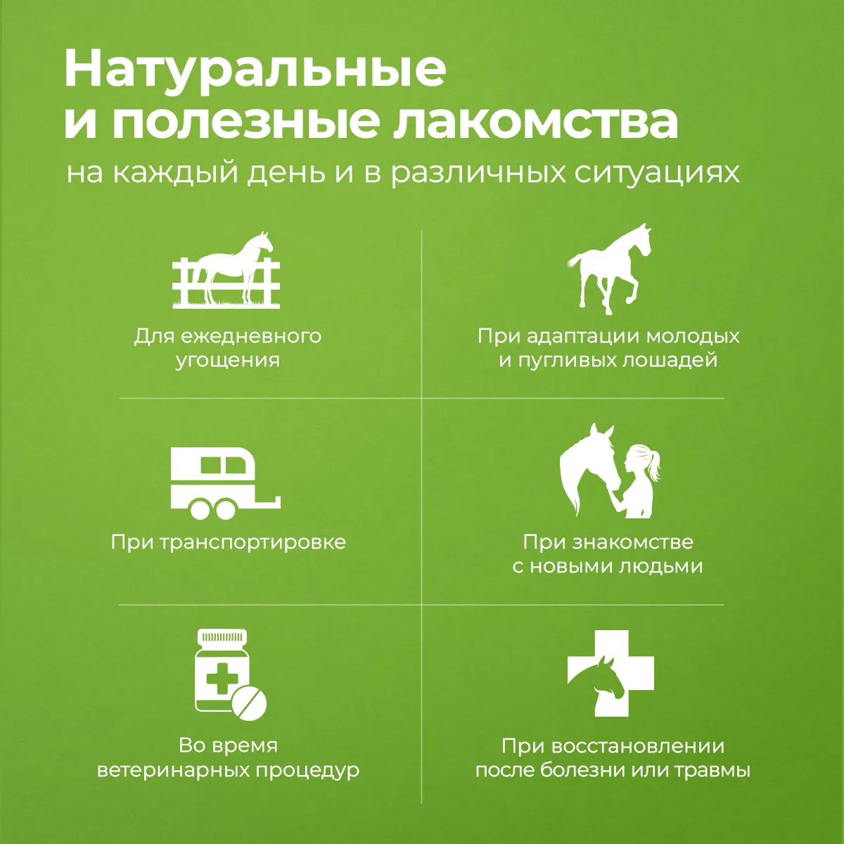 Longside Лакомство для лошадей, укрепляющее доверие. Полезные травы 4 х 500 г