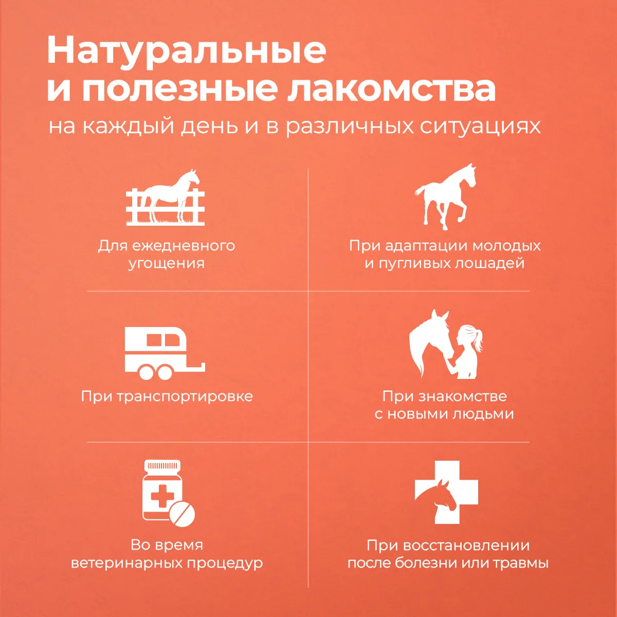 Longside Лакомство для лошадей, укрепляющее доверие. Садовое яблоко 4 х 500 г