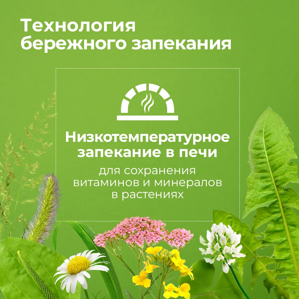 Longside Лакомство для лошадей, укрепляющее доверие. Полезные травы 4 х 500 г