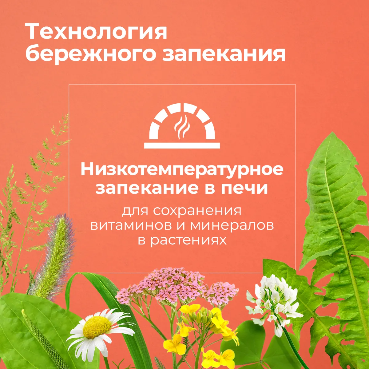 Longside Лакомство для лошадей, укрепляющее доверие. Садовое яблоко 4 х 500 г