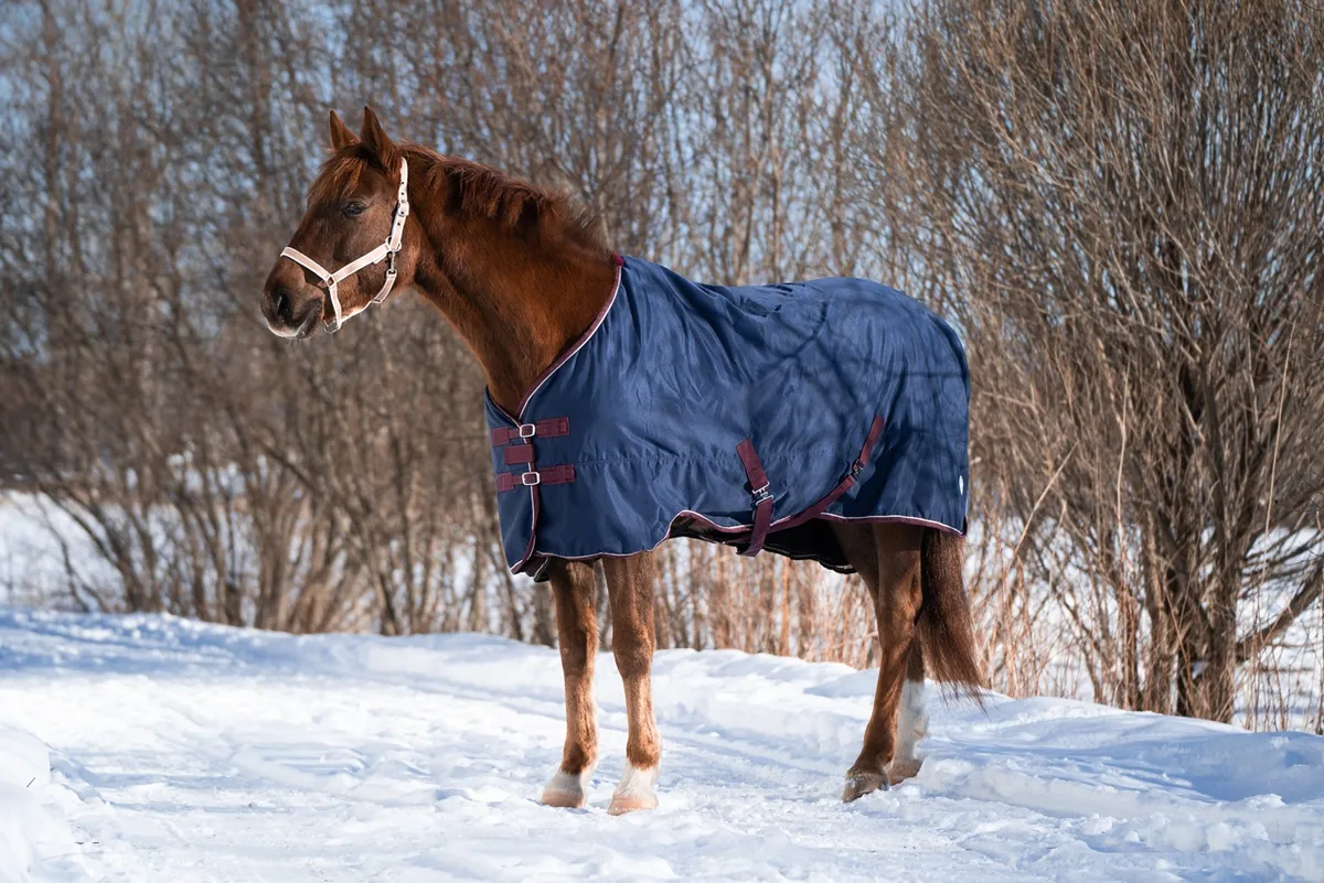 Попона денниковая FLEECE-LINED на флисе синий (135)