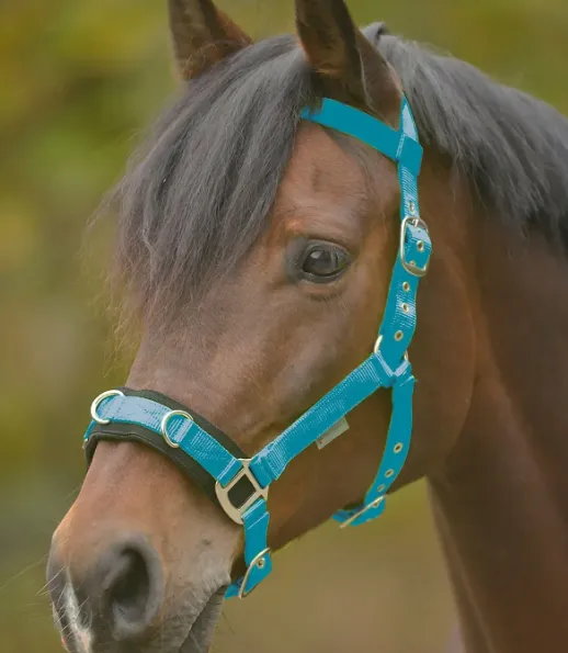 Кавессон нейлоновый, full,голубой