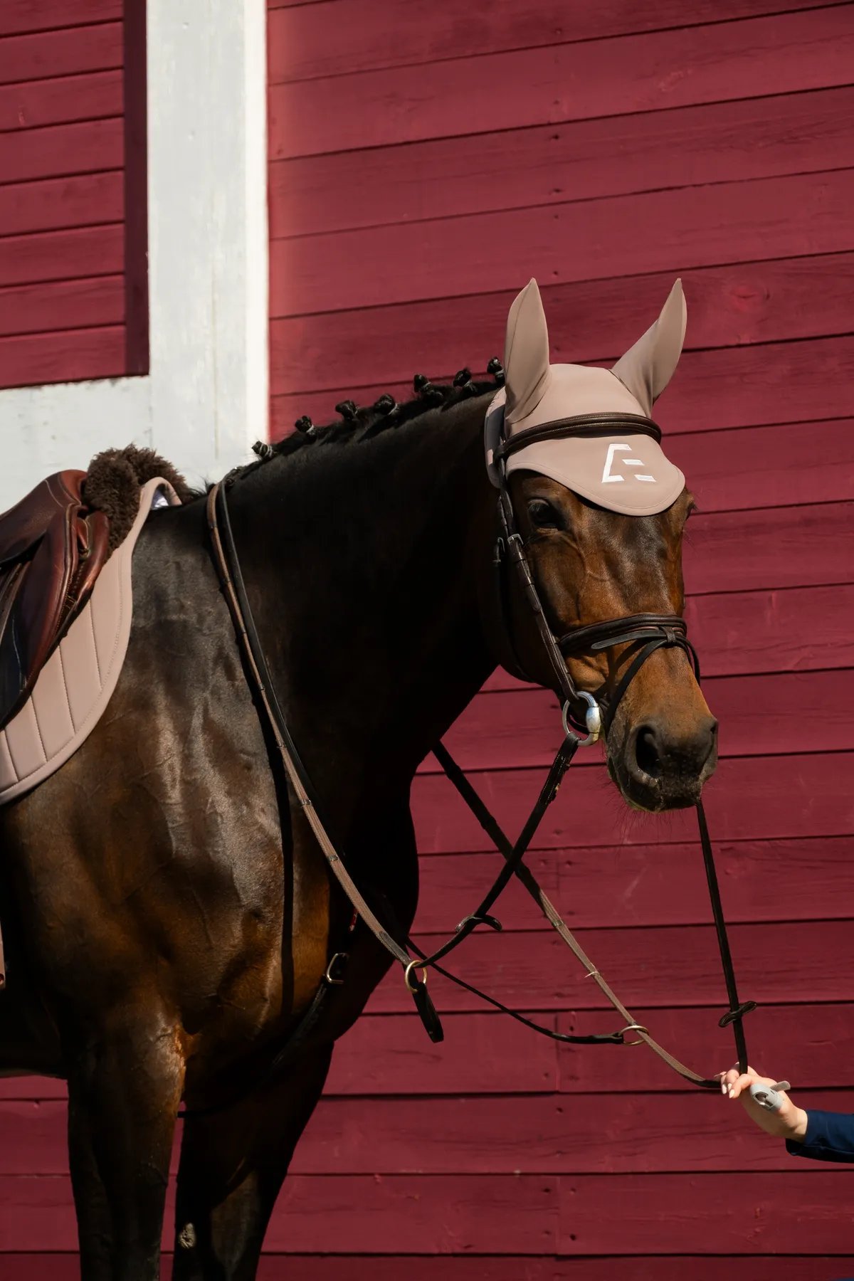 Ушки для лошади ATMO Equestrian (FULL, Coffee)