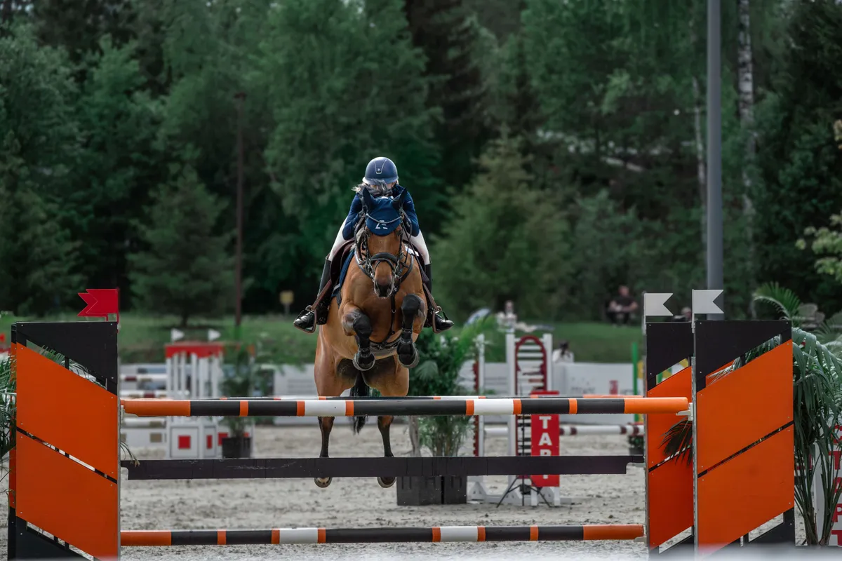 Ушки для лошади ATMO Equestrian (FULL, Navy)