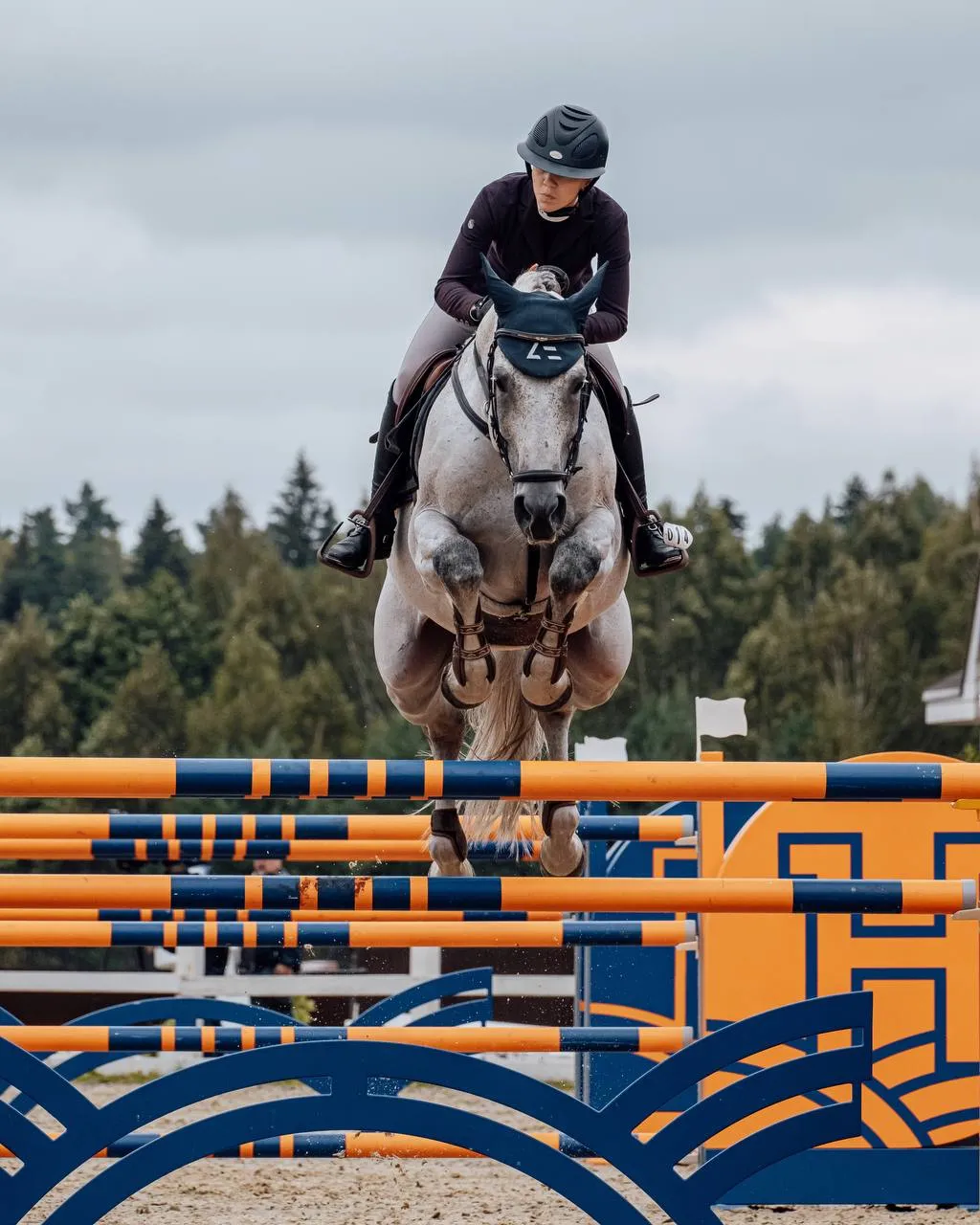 Ушки для лошади ATMO Equestrian (FULL, Navy)