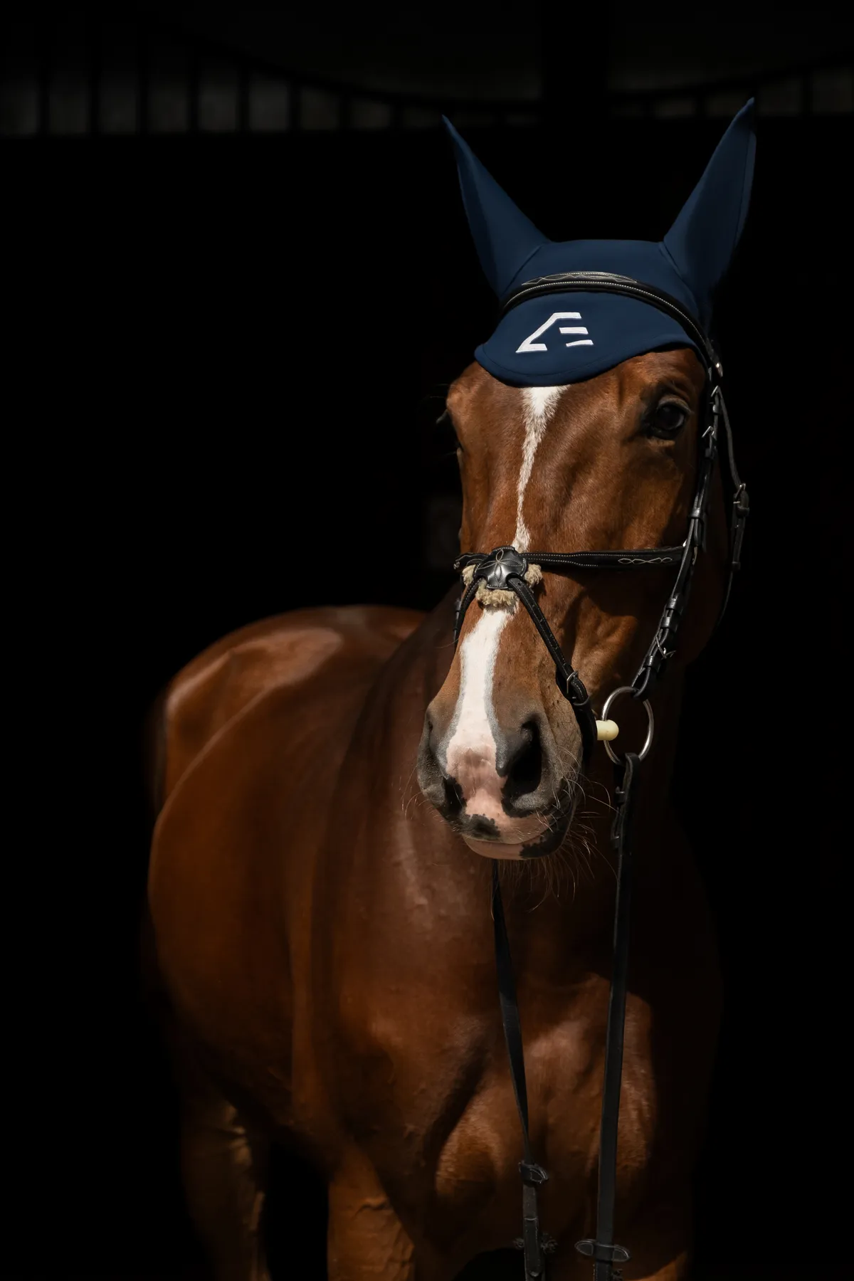 Ушки для лошади ATMO Equestrian (COB, Navy)