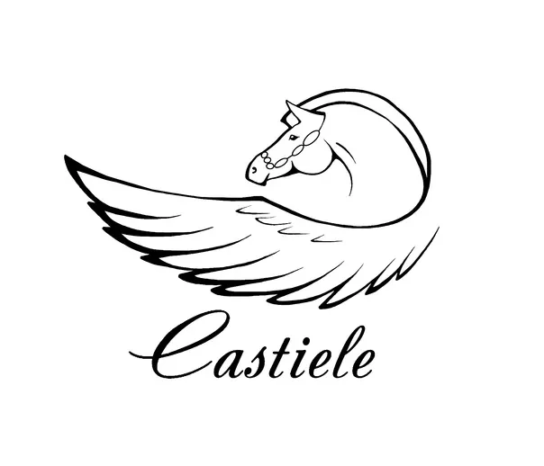 Баннер магазина Castiele